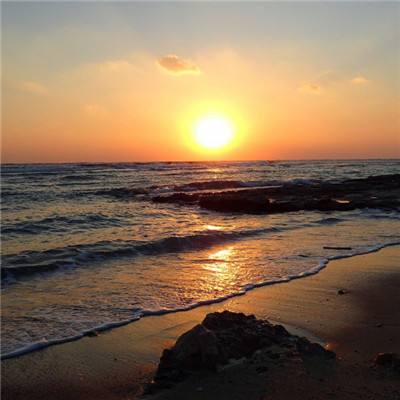 天天游戏手机app下载