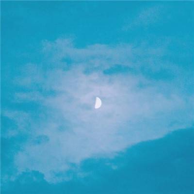 凤凰彩票最新版安卓版